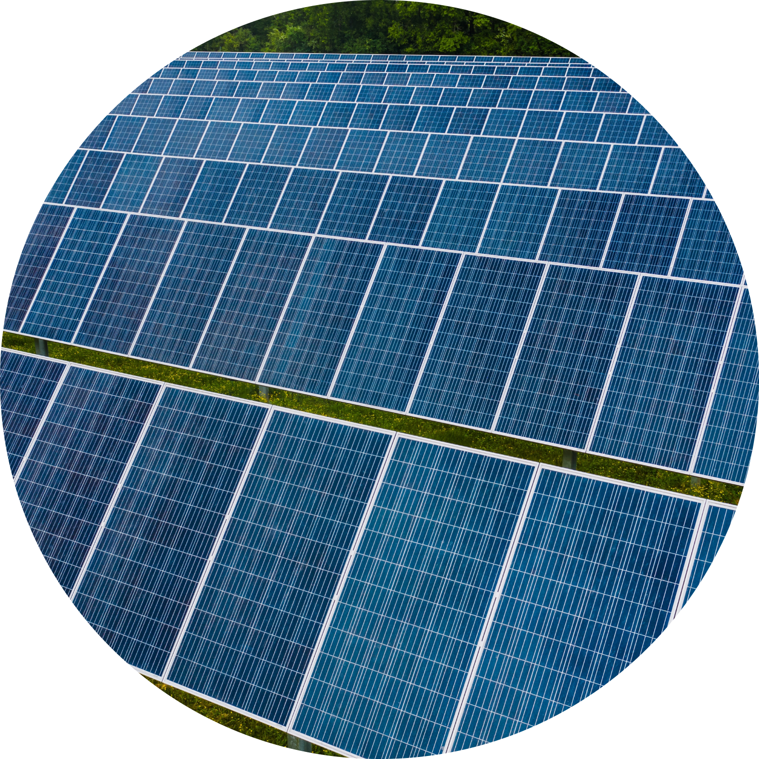 land owners solar panels