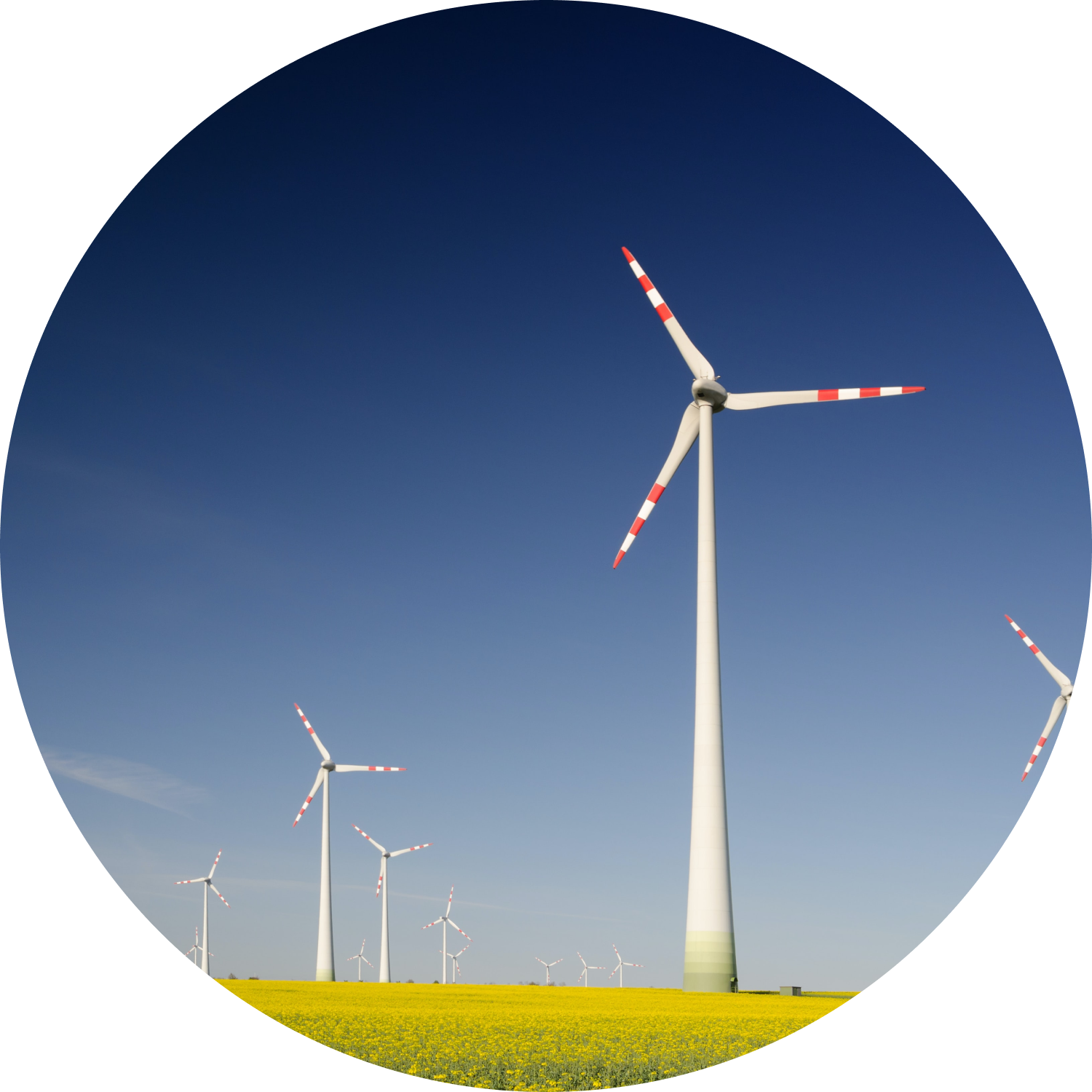 energie eoliana energie eoliana