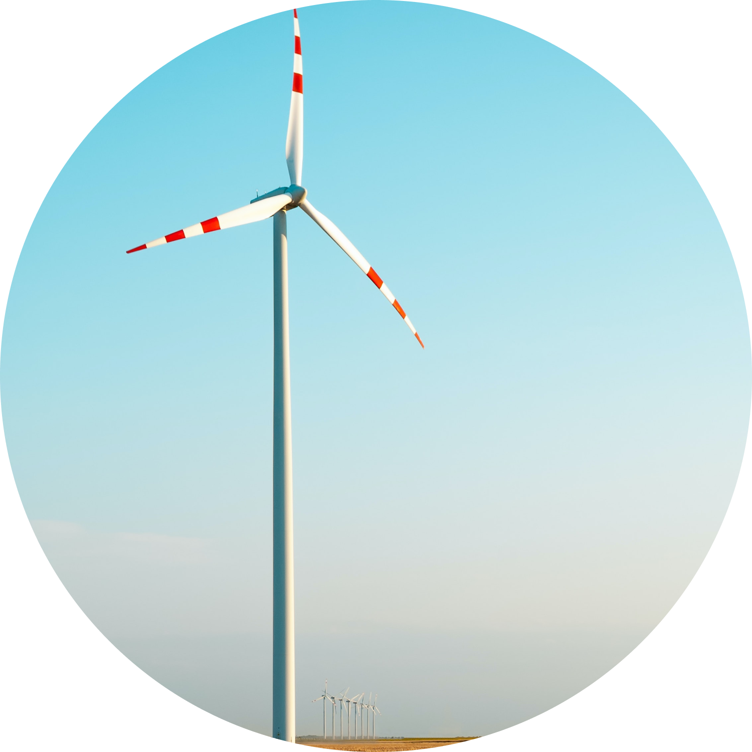 energie eoliana energie eoliana